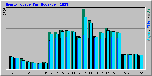 Hourly usage for November 2025